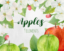Watercolor apple Clip art fruits Hand painted floral Apple tree ...