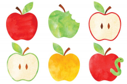 Watercolor Apple Clip Art - Freebie Friday - Hey, Let's Make Stuff