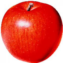 Download Apple Free PNG photo images and clipart | FreePNGImg