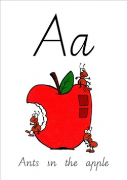 Ants in the Apple- alphabet posters or flashcards Vic Modern Cursive
