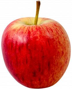 Apple Fruit PNG Transparent Image | PNG Mart