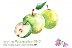 Green Apple Watercolor Clipart PNG ~ Illustrations ~ Creative Market