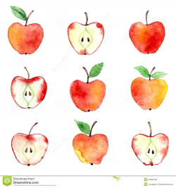 Apple Watercolor Pattern Stock Vector - Image: 43563769 | Marketing ...