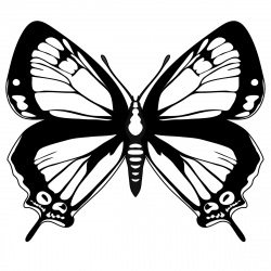 Black and White Clip Art: Butterfly Black and White Clip Art