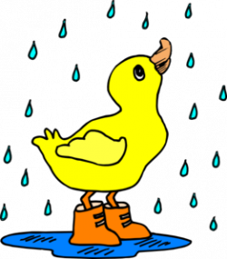 Duck In The Rain Clip Art at Clker.com - vector clip art online ...
