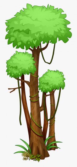 April Clipart Rain Forest - Tropical Rainforest Tree Drawing ...