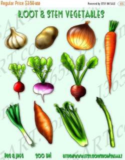 Root and Stem Vegetables Clipart, Scrapbooking, Digital Graphics ...