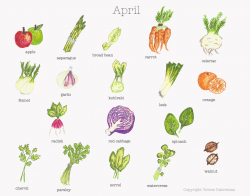 April Fruit and Vegetable Calendar