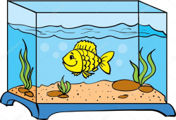 Aquarium Clipart | Free download best Aquarium Clipart on ...