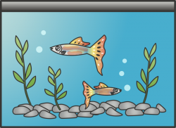Fish Cartoon clipart - Fish, Art, Illustration, transparent ...