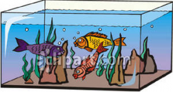 Fish Swimming In an Aquarium - Royalty Free Clipart Picture