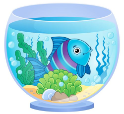 11 best AKVARYUM images on Pinterest | Fish, Fish aquariums and Fish ...