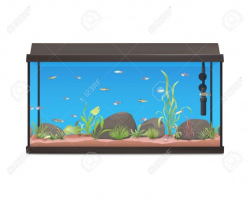 Fish Tank: Fish Tank Cartoon Bowl Stock Vector Illustration Of ...