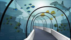 Tunnel Through An Aquarium Background | Aquarium backgrounds