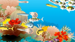 Build-a-Fish | Shedd Aquarium | Science | Interactive | PBS ...