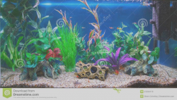 Fish Tank: Fish Tank Clipart Cliparts For You Marvelous Picture ...