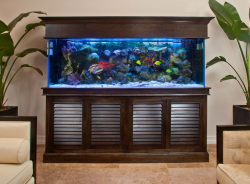Home Fish Aquarium Designs Simple House Design Ideas Tank - Tierra ...