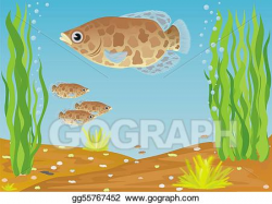 Stock Illustration - Aquarium fish. Clipart Drawing gg55767452 - GoGraph