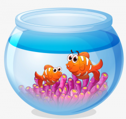 Goldfish Aquarium, Goldfish, Aquarium, Glass PNG Image and Clipart ...