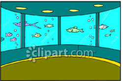 Tourist Fish Aquarium - Royalty Free Clipart Picture