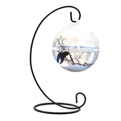 Behokic Clear Round Shape Hanging Glass Aquarium Fish Bowl Tank ...