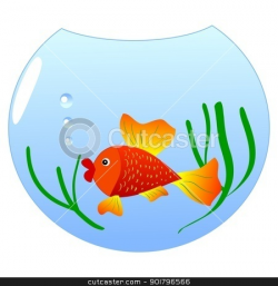 aquarium fish stock vector