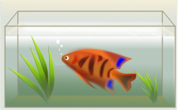 Fish Tank clip art Free vector in Open office drawing svg ( .svg ...