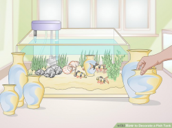 How to Decorate a Fish Tank: 15 Steps (with Pictures) - wikiHow