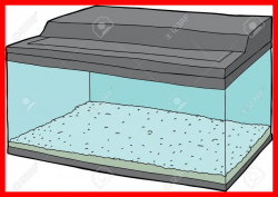 Awesome Single Empty Fish Tank With Closed Lid Royalty Image For ...