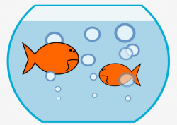 Two Small Fish Bowl Of Goldfish, Goldfish, Inside, Aquarium PNG and ...