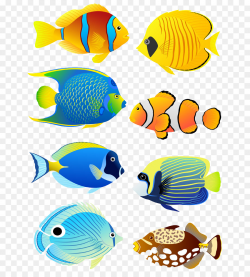 Tropical fish Angelfish Aquarium Clip art - Six cartoon fish png ...