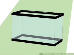 How to Set Up a 10 Gallon Tropical Aquarium: 9 Steps