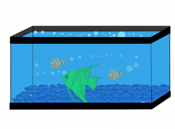 Wall Fish Tank Clipart