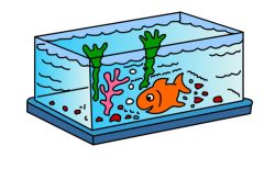 Draw Fishtank Kids Clipart Best - Designs Chaos