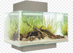 Light Nano aquarium Fishkeeping Filter - Rectangular tank png ...