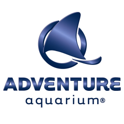 Event: Button's Birthday Bash returns at Adventure Aquarium | Frugal ...