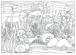 Printable Aquarium Coloring Pages - fjushis.info | fjushis.info