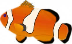 Aquarium Fish Amphiprion Percula Clip Art at Clker.com - vector clip ...