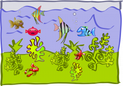 underwater world - aquarium Icons PNG - Free PNG and Icons Downloads