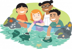 Kids Aquarium | Clipart | The Arts | Image | PBS LearningMedia