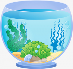 Transparent Tank, Tank, Aquarium, Aquarium Water PNG Image and ...