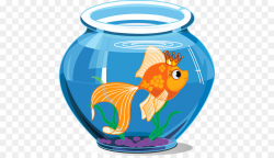 Goldfish Aquarium Drawing Clip art - fish tank png download - 512 ...