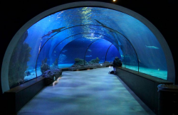 206 best Travel - Underwater Tunnels, Hotels images on Pinterest ...