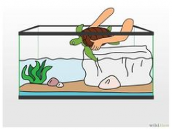28+ Collection of Turtle Tank Drawing | High quality, free cliparts ...