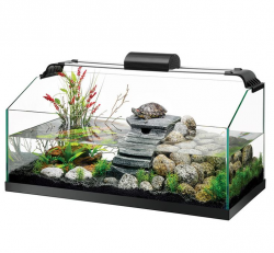 979 best Aquarium images on Pinterest | Fish tanks, Aquarium ideas ...