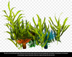 Underwater Aquatic Plants Seaweed Clip art - sea png download - 1024 ...