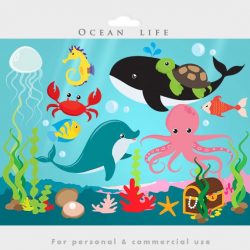 Under the ocean - sea clip art, fish, seaweed, dolphin, whale ...