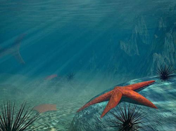 ocean bottom scenes | 3D Aquarium Wallpaper | Pictures | Pinterest ...