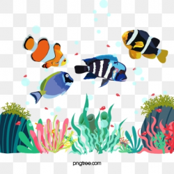 Aquarium Fish PNG Images | Vector and PSD Files | Free ...