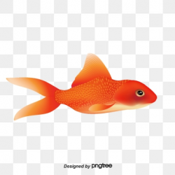 Aquarium Vector Png, Vector, PSD, and Clipart With ...